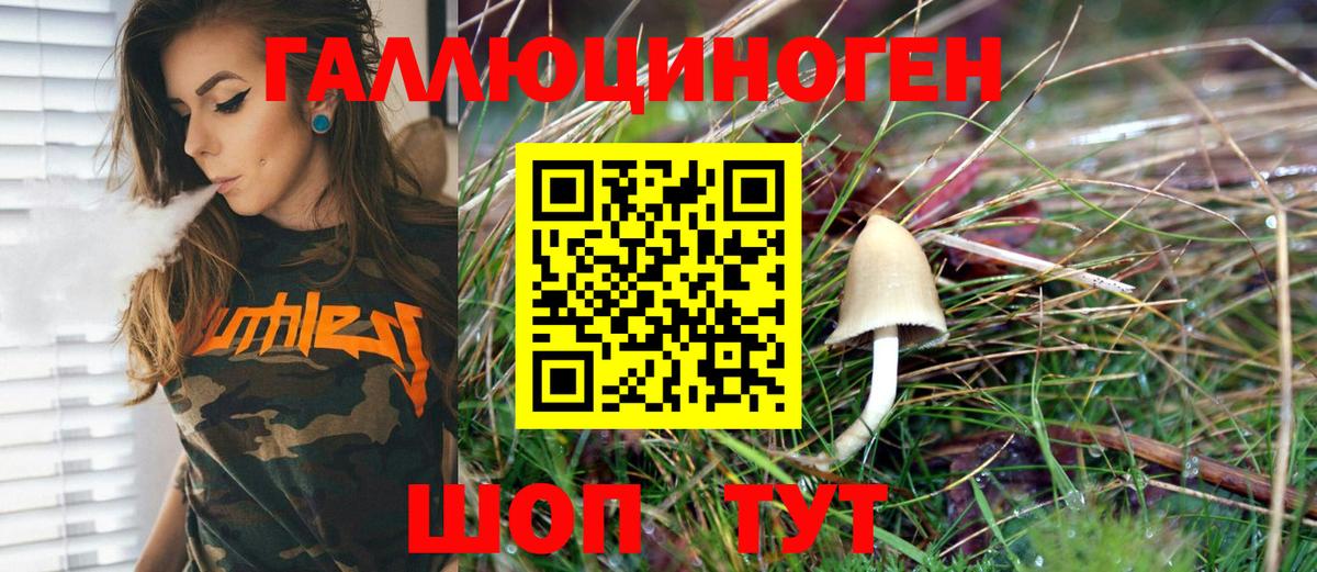Галлюциногенные грибы MAGIC MUSHROOMS  Вход с VPN  Галлюциногенные грибы Psilocybine cubensis  Карталы 